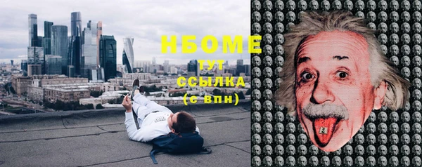 шишки Приозерск