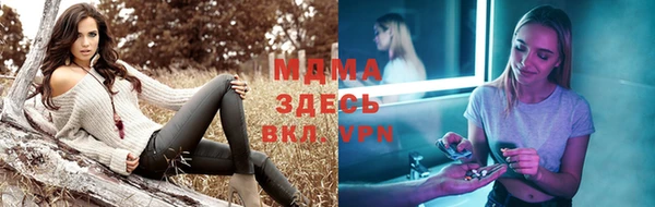 шишки Приозерск